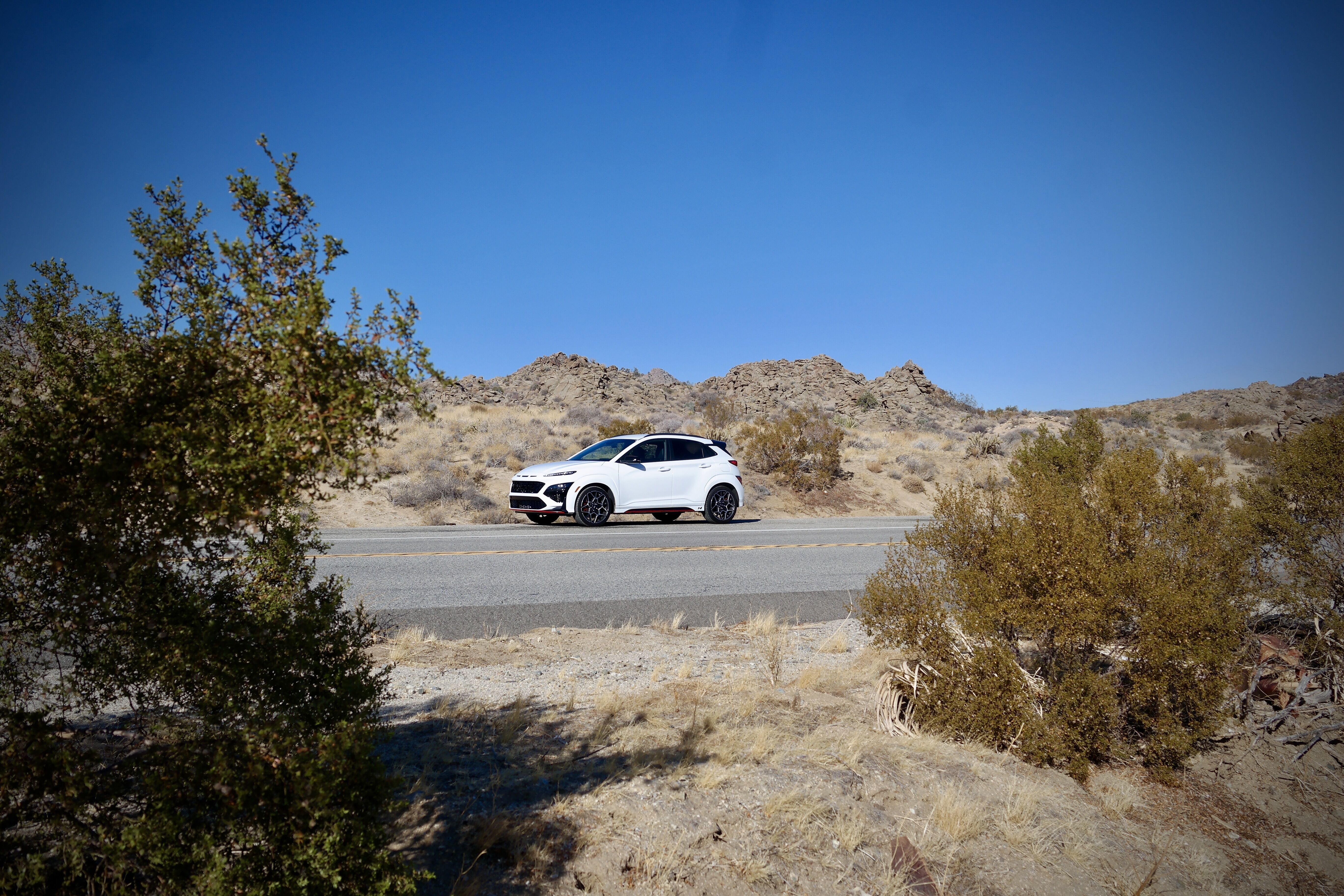 Kona on a desert road. 