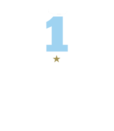 2018 TCR World Touring Car Cup CHAMPION - i30 N TCR 이미지